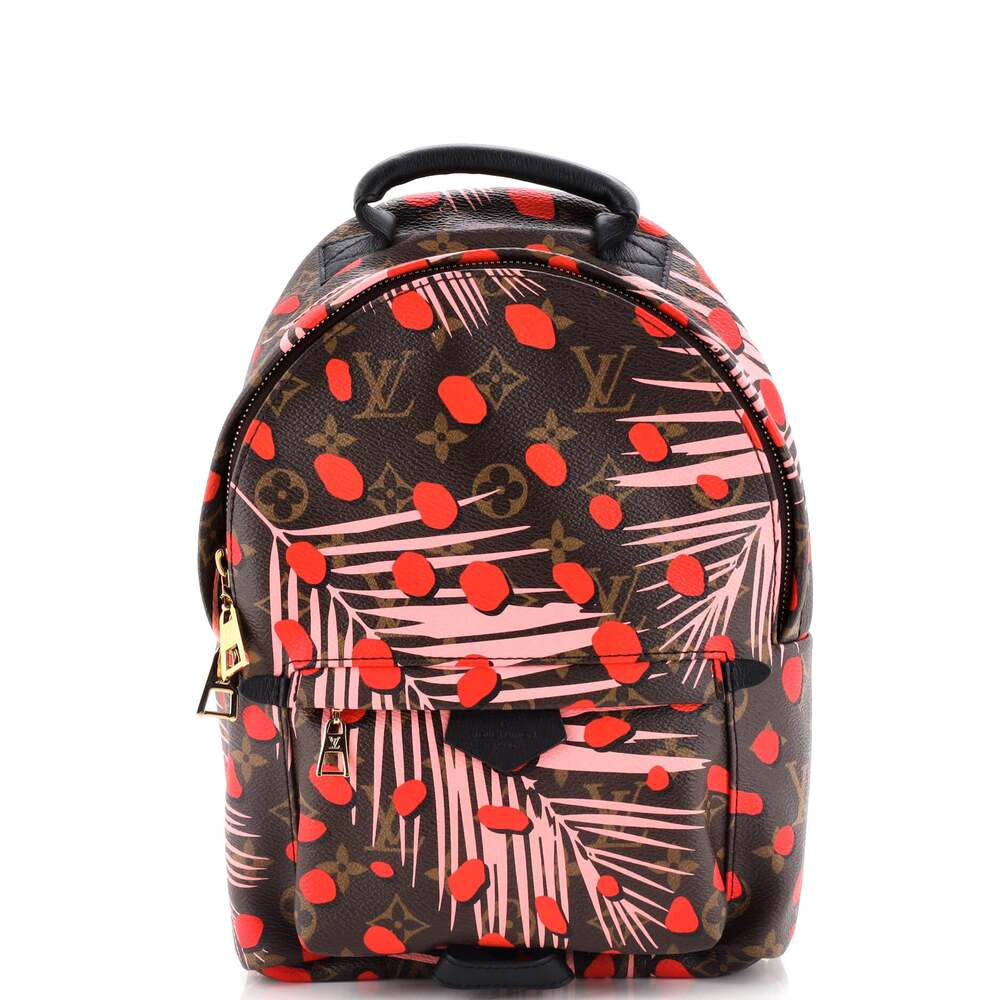 Louis Vuitton Palm Springs Backpack #183766L14B